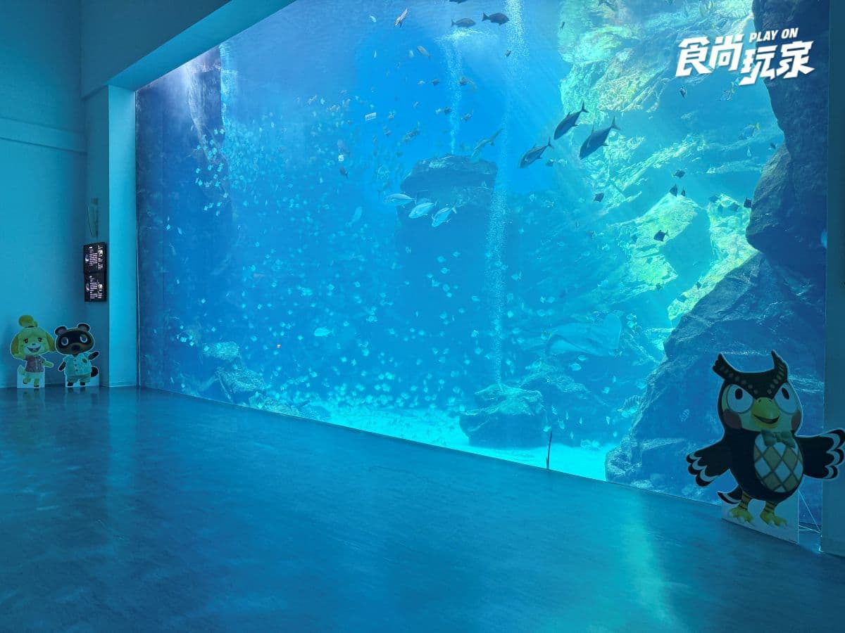 《動物森友會》角色出沒Xpark！免費玩任天堂遊戲機送貼紙，８折星光票回歸