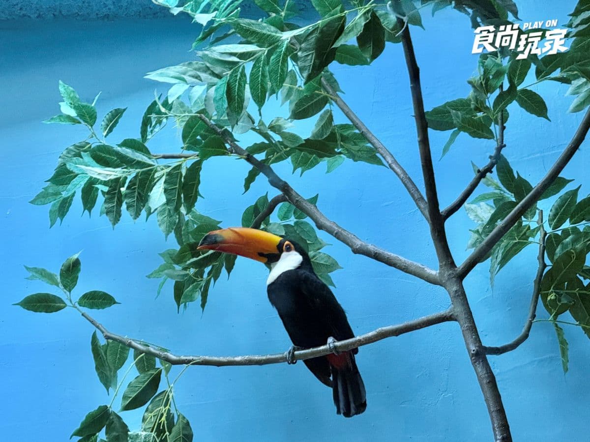 《動物森友會》角色出沒Xpark！免費玩任天堂遊戲機送貼紙，８折星光票回歸