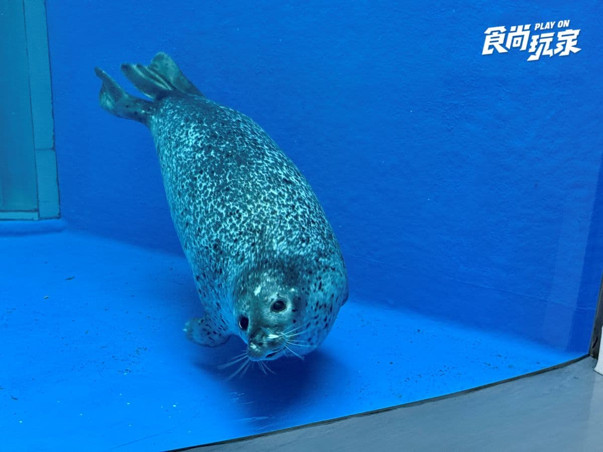 《動物森友會》角色出沒Xpark！免費玩任天堂遊戲機送貼紙，８折星光票回歸