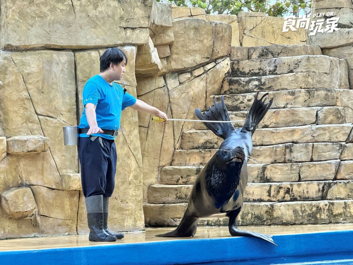 《動物森友會》角色出沒Xpark！免費玩任天堂遊戲機送貼紙，８折星光票回歸