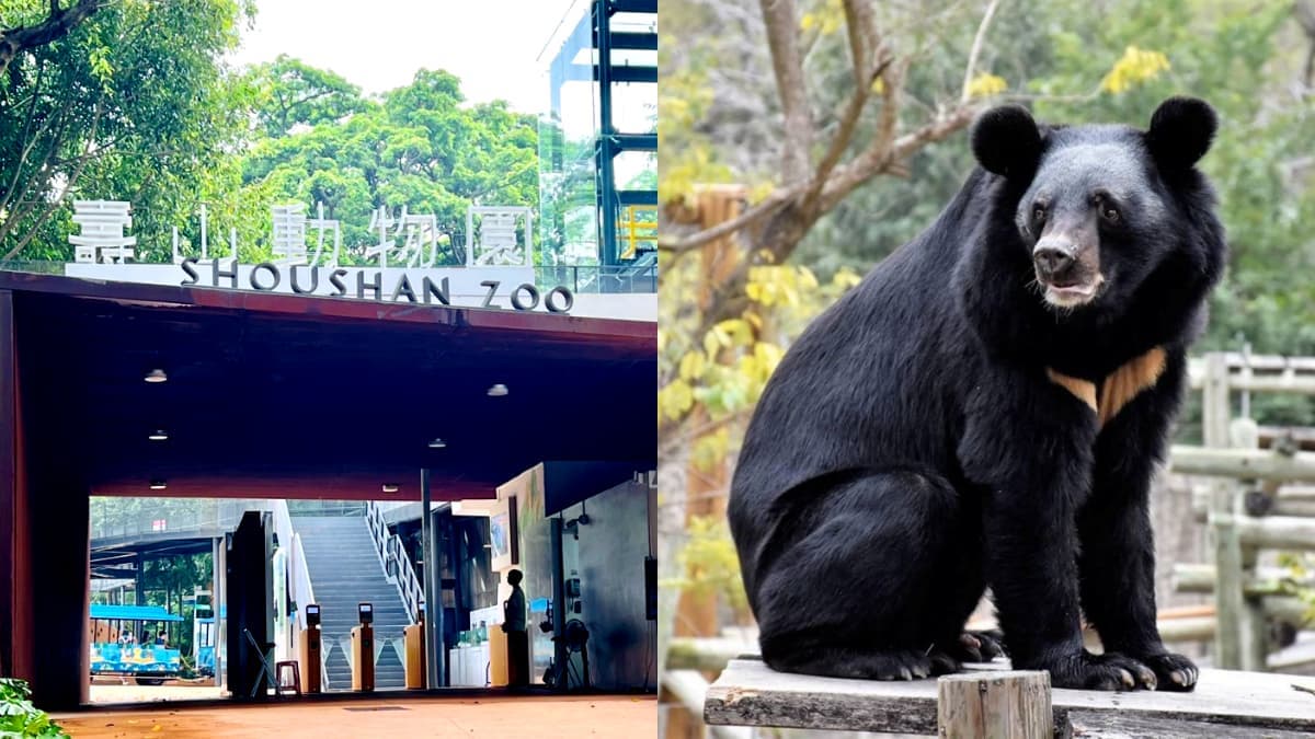 壽山動物園「兒童暑假免費入園」!高雄7月主題市集整理,氣墊水樂園這裡玩