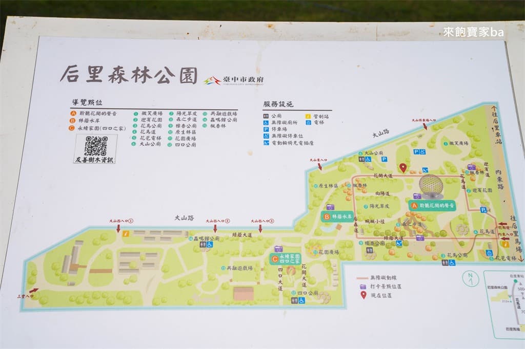 全台最大「搖籃遊戲場」免費玩！31座吊床、樹洞溜滑梯，森林系公園超放電