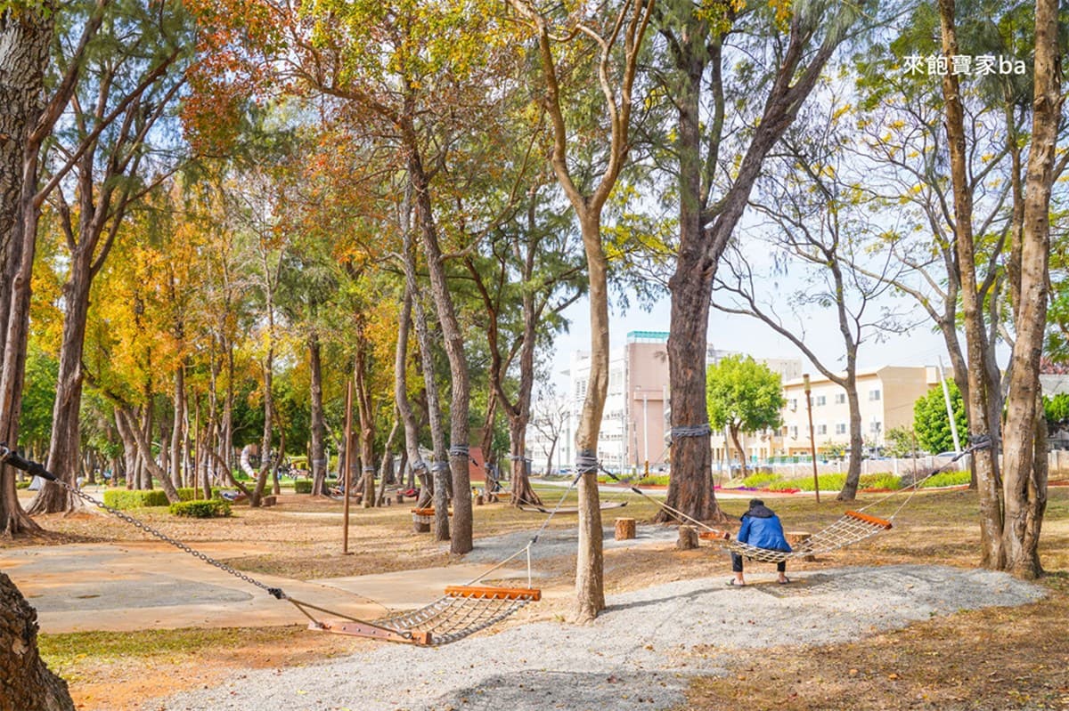全台最大「搖籃遊戲場」免費玩！31座吊床、樹洞溜滑梯，森林系公園超放電