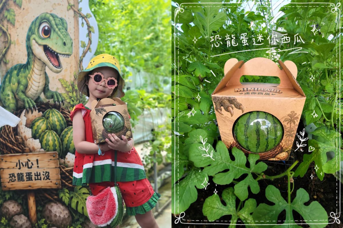夏日限定「恐龍蛋迷你西瓜」開採啦!免門票入園,超萌西瓜吐司、西瓜酥帶回家 夏日限定「恐龍蛋迷你西瓜」開採啦!免門票入園,超萌西瓜吐司、西瓜酥帶回家