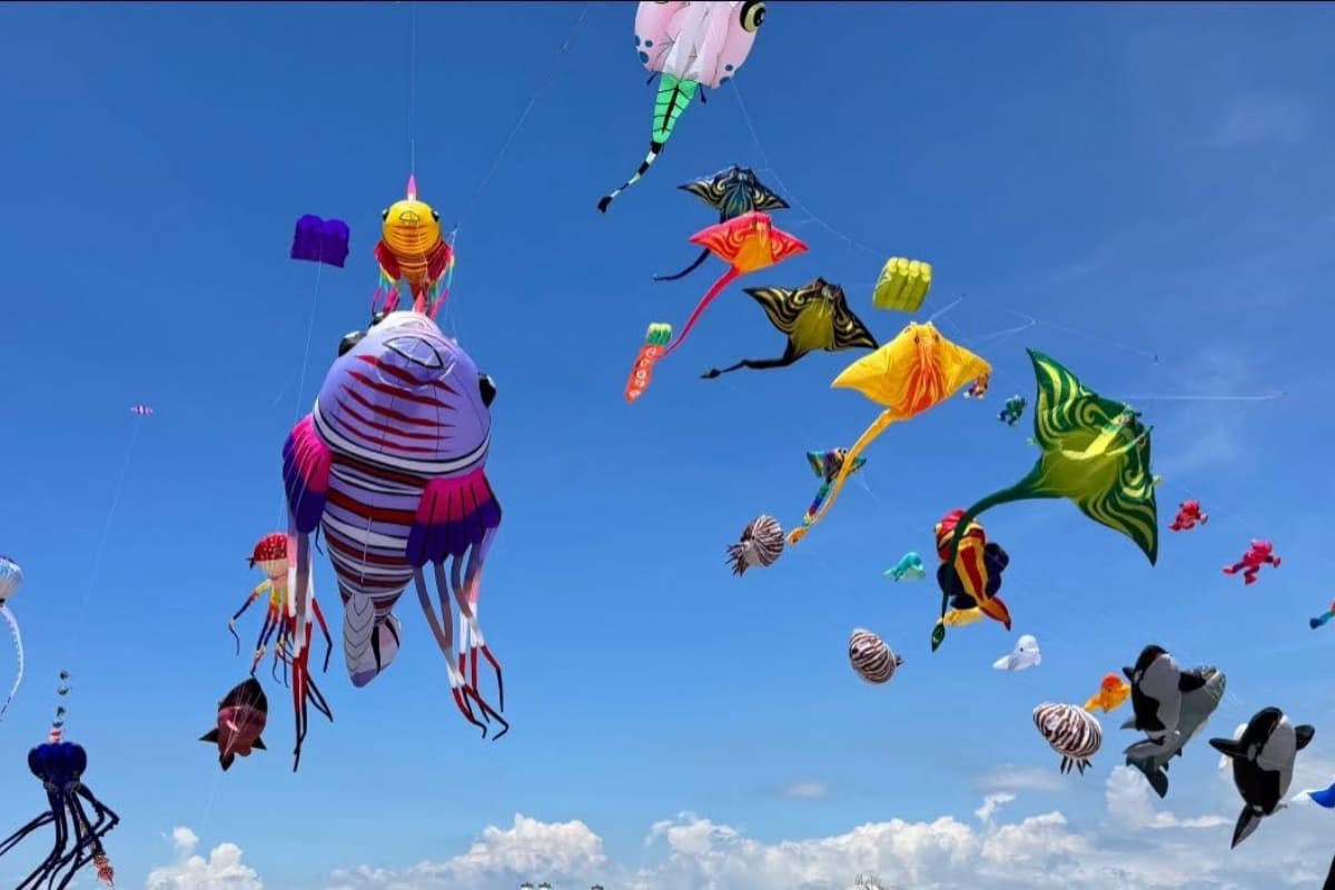 全台２大風箏嘉年華登場！天空變「海底世界」宜蘭冬山、七股鹽山看巨型鯨魚