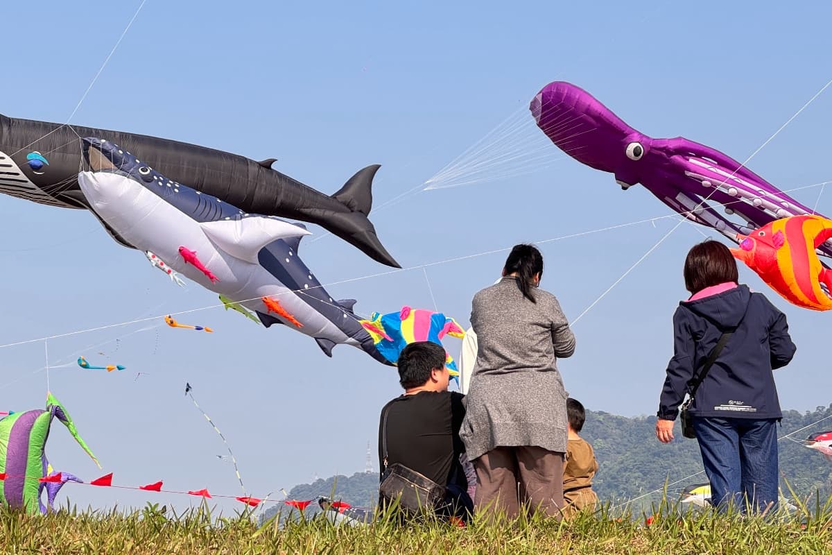 全台２大風箏嘉年華登場！天空變「海底世界」宜蘭冬山、七股鹽山看巨型鯨魚