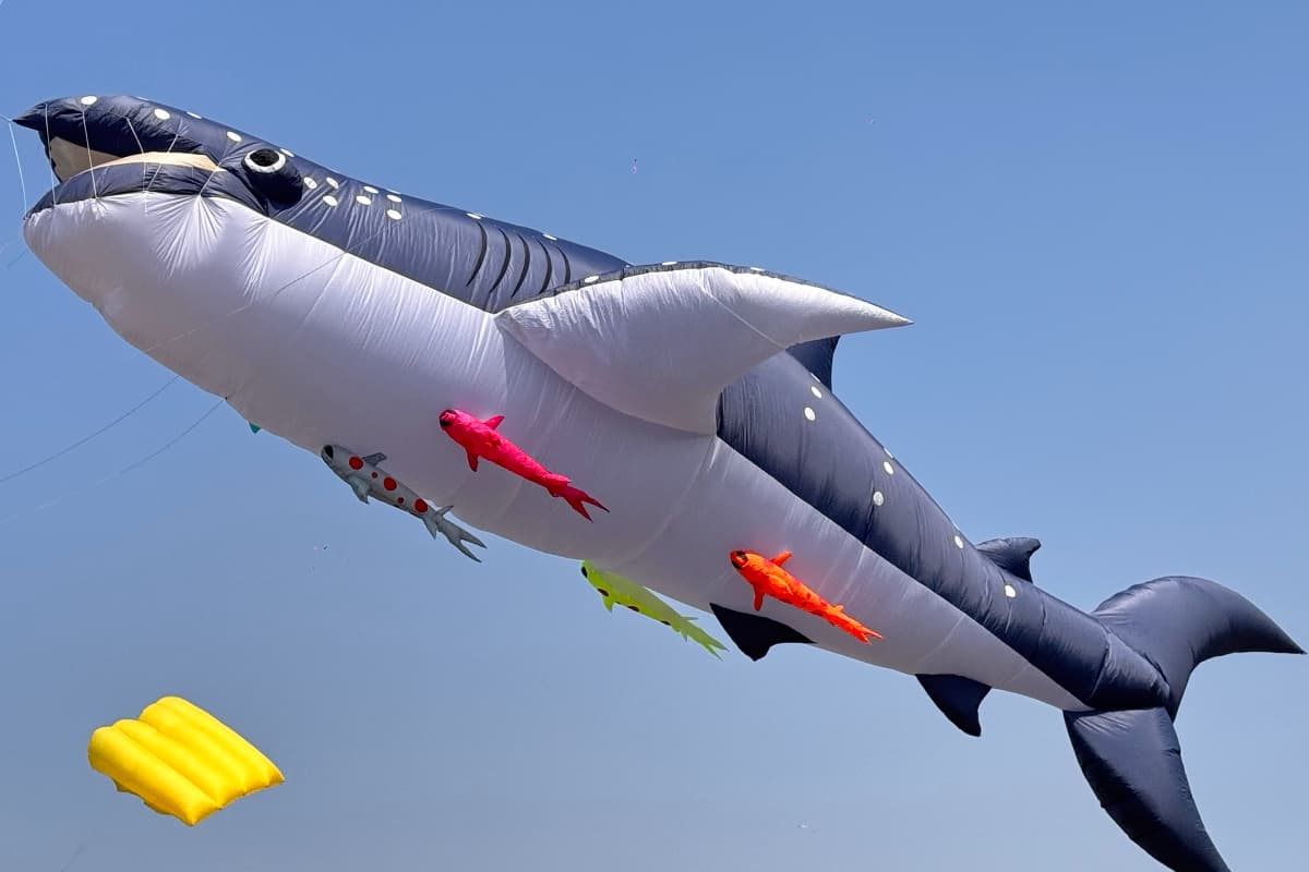 全台２大風箏嘉年華登場！天空變「海底世界」宜蘭冬山、七股鹽山看巨型鯨魚
