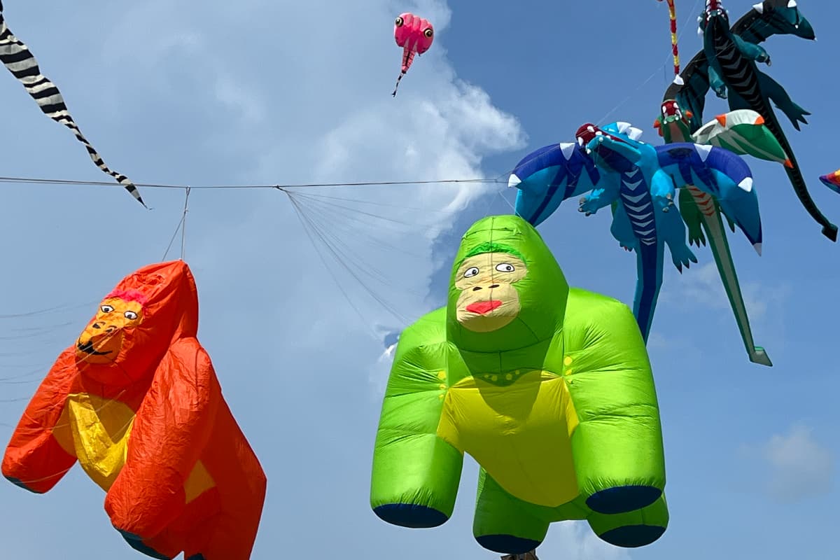 全台２大風箏嘉年華登場！天空變「海底世界」宜蘭冬山、七股鹽山看巨型鯨魚