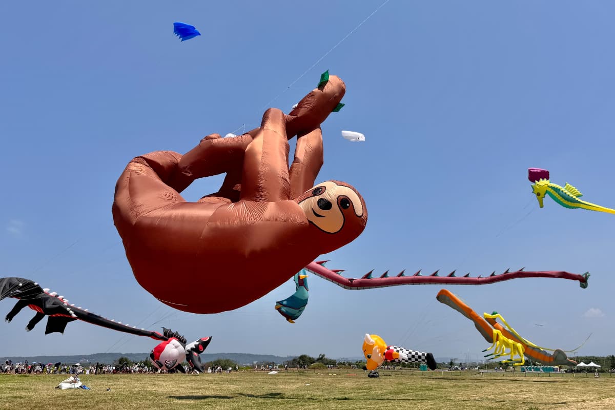 全台２大風箏嘉年華登場！天空變「海底世界」宜蘭冬山、七股鹽山看巨型鯨魚