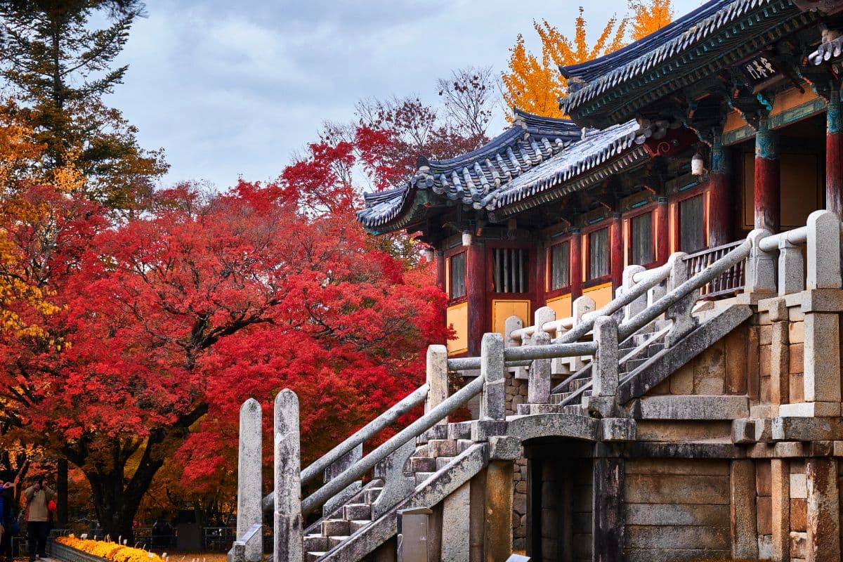 限時免費索票入場！2026台北夏季旅展必看優惠：出國免萬元行程、天天抽機票