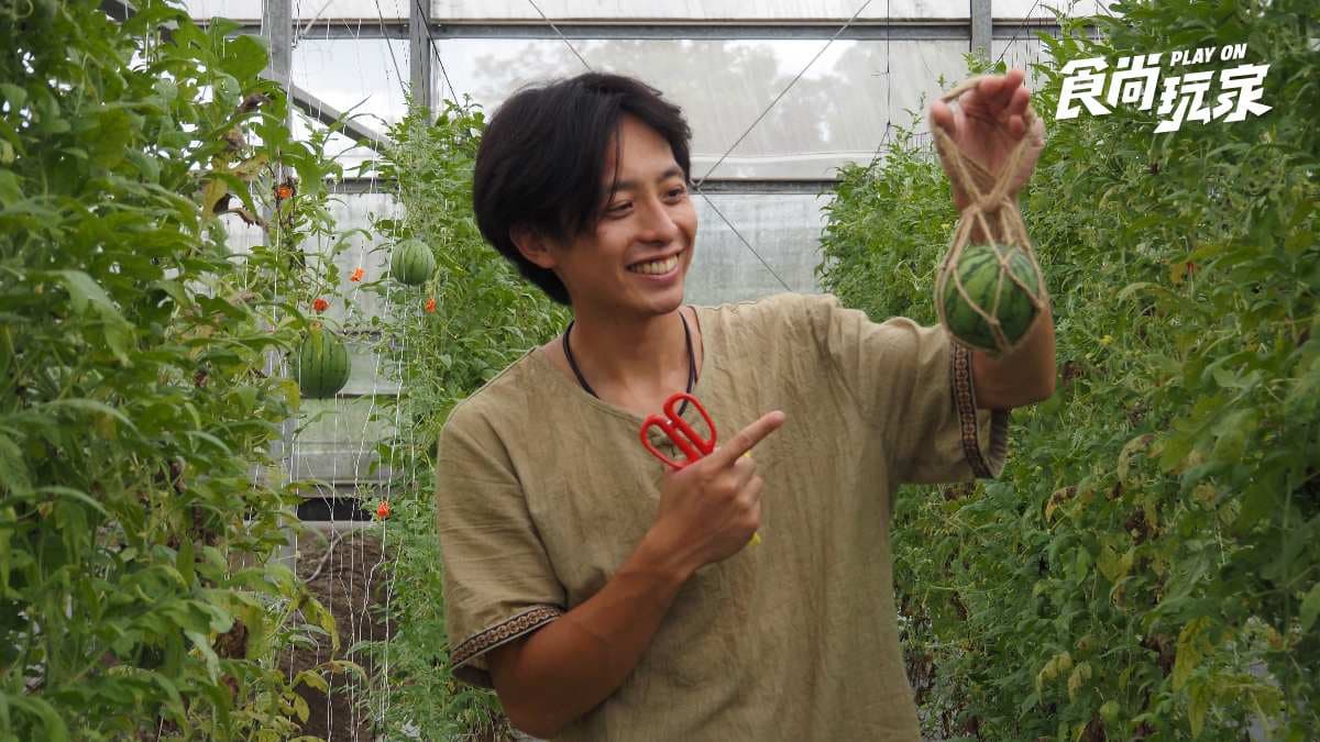 15分鐘秒殺200名額！夏天最夯西瓜食農體驗，採迷你西瓜、DIY古早味剉冰超消暑