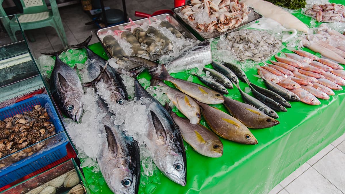 花蓮漁港鱻美漁行生魚片（原阿美小吃）