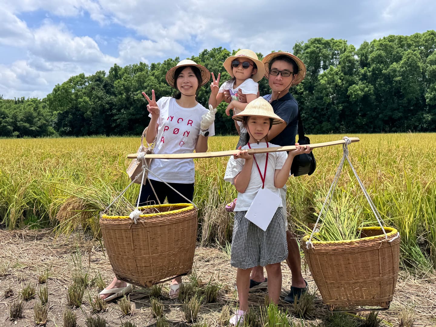 台北夏日金色稻浪這裡看！帶孩子當一日農夫、割稻碾米，５隻關渡熊超好拍
