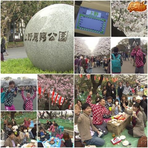 亞洲最強六大城市PK ㄨㄚ係背包王 3