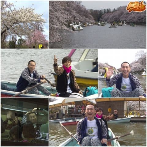 亞洲最強六大城市PK ㄨㄚ係背包王 5 亞洲最強六大城市PK ㄨㄚ係背包王 5