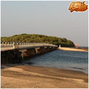 包山又包海 宮崎一路玩到底