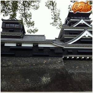 熊本這樣玩! 超驚奇之旅初體驗