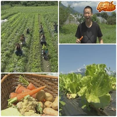 阿宅好好味 宅男東遊記-最終章