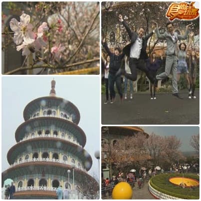 委託會社開張囉 超熱血畢業小旅行