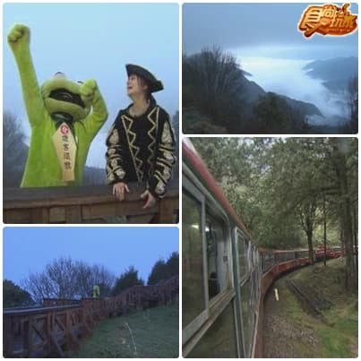 遊客退散 阿里山祕境之旅 遊客退散 阿里山祕境之旅