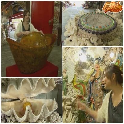 北海岸美食試膽公路