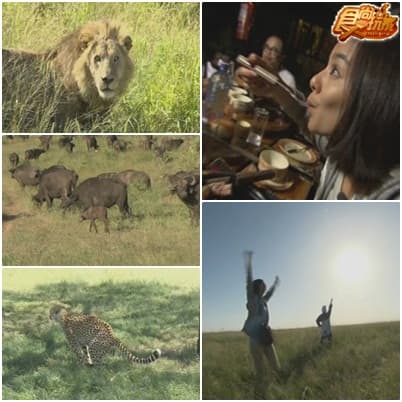 莎莎女王肯亞獵遊記 動物天堂馬賽馬拉