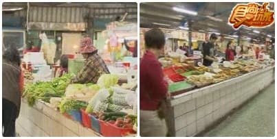 老饕新竹賞桐全指南 老饕新竹賞桐全指南