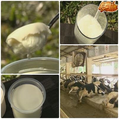 嘉義巷子內美食