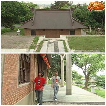 苗栗油桐花季