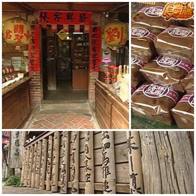 苗栗油桐花季