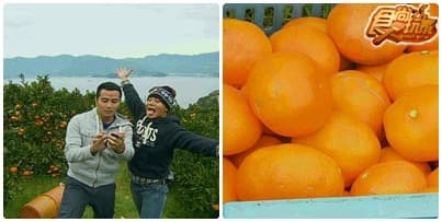 喔耶~年終犒賞 日本泡湯之旅