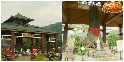 哪裡涼快哪裡去-清境 哪裡涼快哪裡去-清境