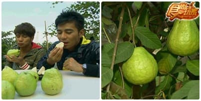 獨家大高雄美食秘徑吃翻天 