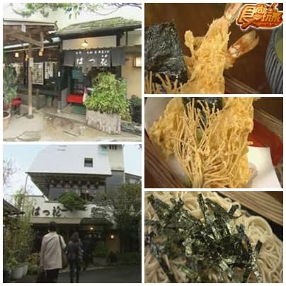 從東京出發 箱根賞楓郊遊去