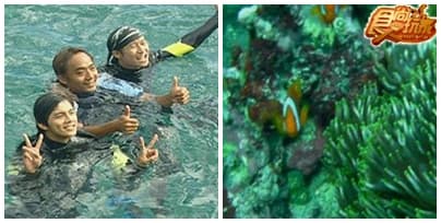 一路爽到天涯海角（上）蘭嶼