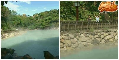 陽明山賞花 北投士林吃好料
