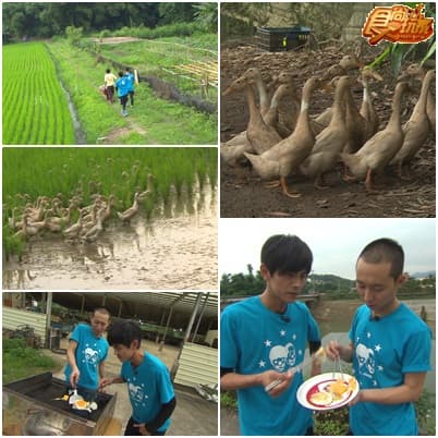 2014夏日熱鬪篇 ㄨㄚ係總舖師 II ! 2014夏日熱鬪篇 ㄨㄚ係總舖師 II !