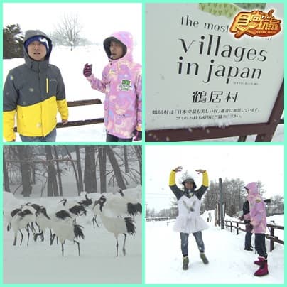 夢想再出發 來去北海道追極光