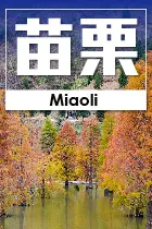 苗栗縣