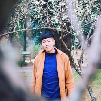 blogger