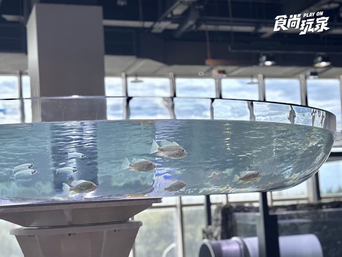 秀證件免費參觀！「台中海洋館」開幕週年10月天天享優惠，美拍７大主題展區