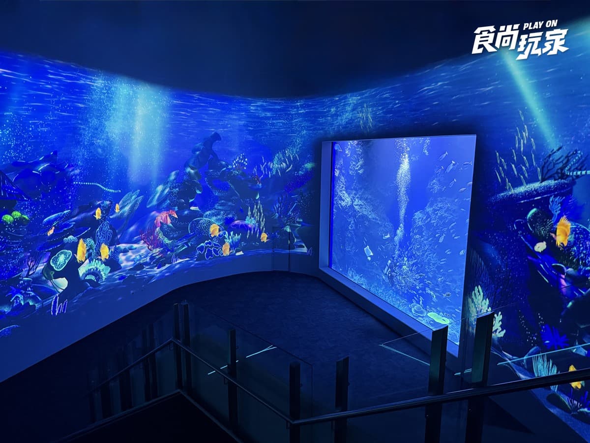 秀證件免費參觀！「台中海洋館」開幕週年10月天天享優惠，美拍７大主題展區