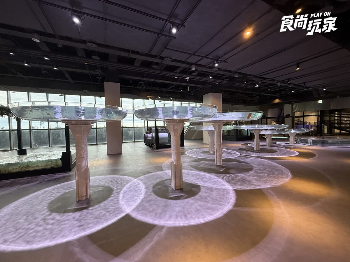 秀證件免費參觀！「台中海洋館」開幕週年10月天天享優惠，美拍７大主題展區