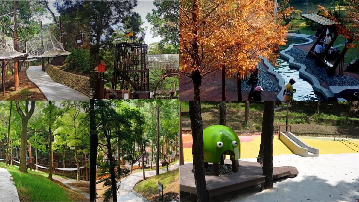 10月免費入園！秀國旗暢玩「225公頃巨型森林樂園」，逛森林花園、滑索、泡足湯