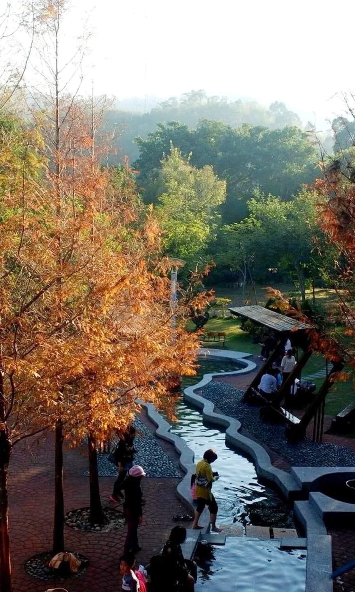 10月免費入園!秀國旗暢玩「225公頃巨型森林樂園」,逛森林花園、滑索、泡足湯 10月免費入園!秀國旗暢玩「225公頃巨型森林樂園」,逛森林花園、滑索、泡足湯
