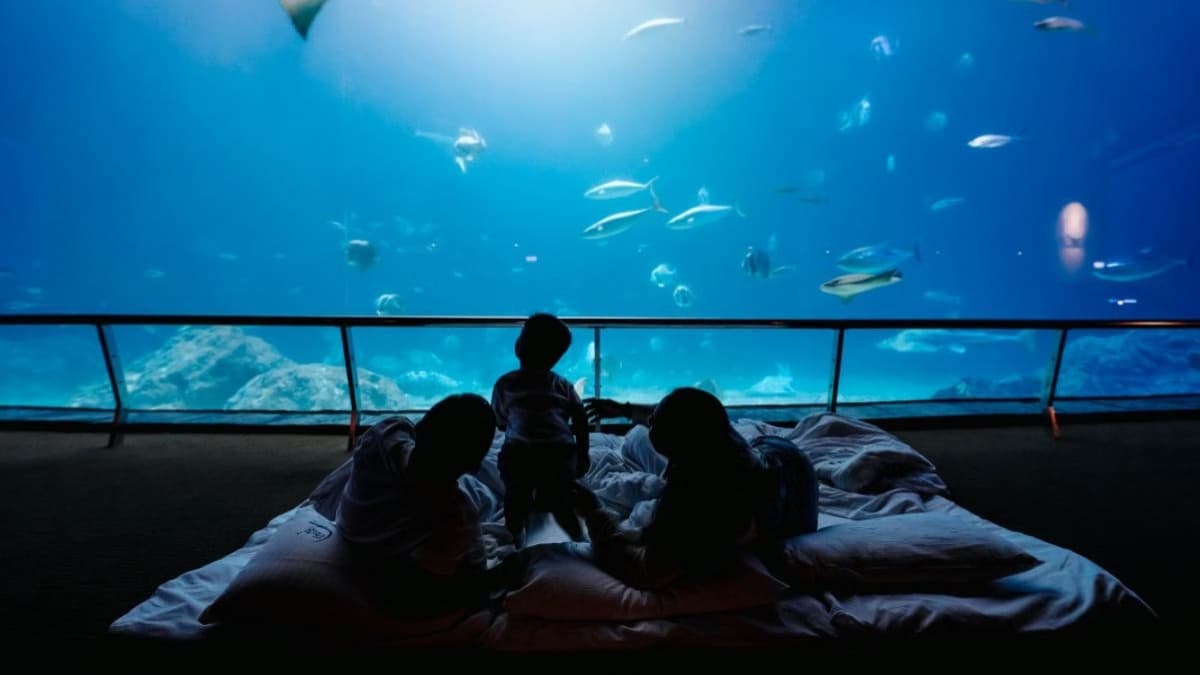 2026臺灣科學節登場!水族館開趴、博物館玩解謎,五大科學館親子玩法&優惠 2026臺灣科學節登場!水族館開趴、博物館玩解謎,五大科學館親子玩法&優惠