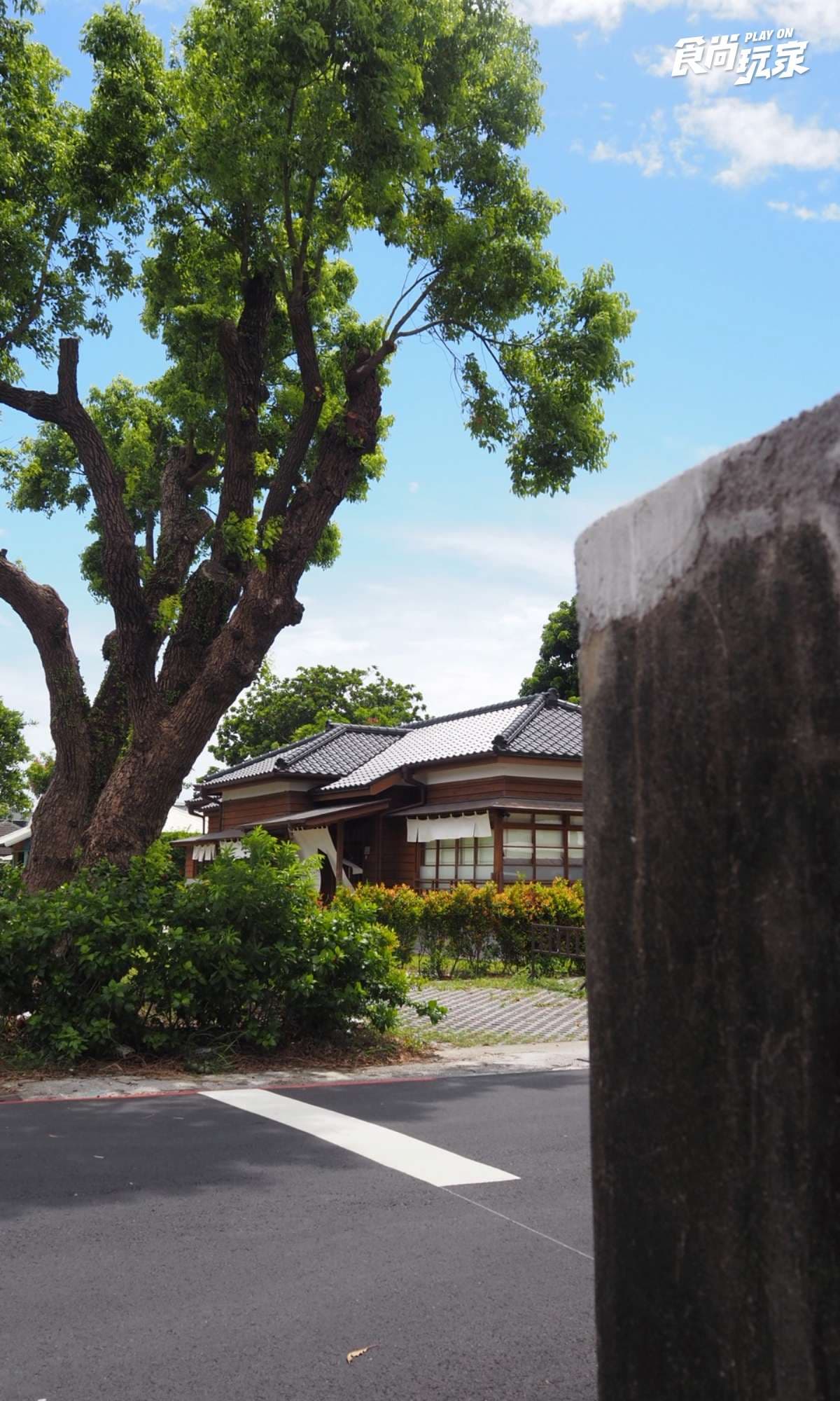 台東國慶煙火必吃TOP10!海濱公園排隊蔥油餅、老字號鹹冰棒、水果珍奶 台東國慶煙火必吃TOP10!海濱公園排隊蔥油餅、老字號鹹冰棒、水果珍奶
