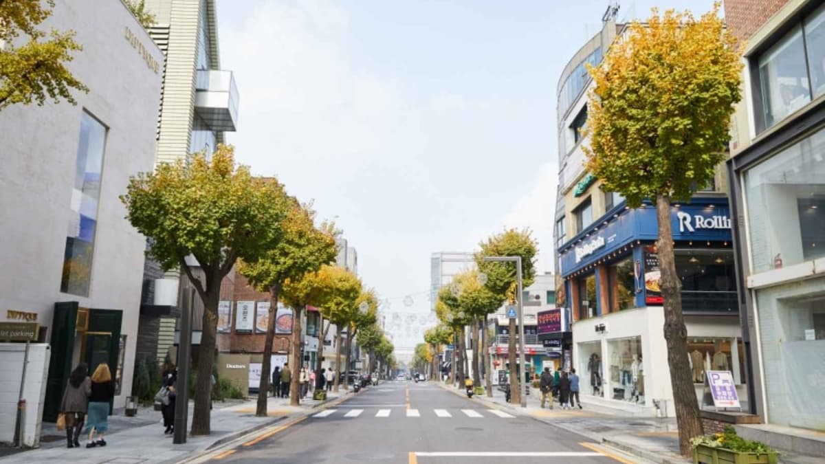 新沙洞
