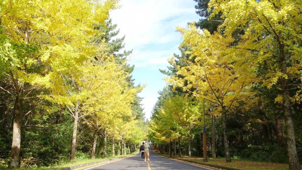 濟州大學 我羅校區