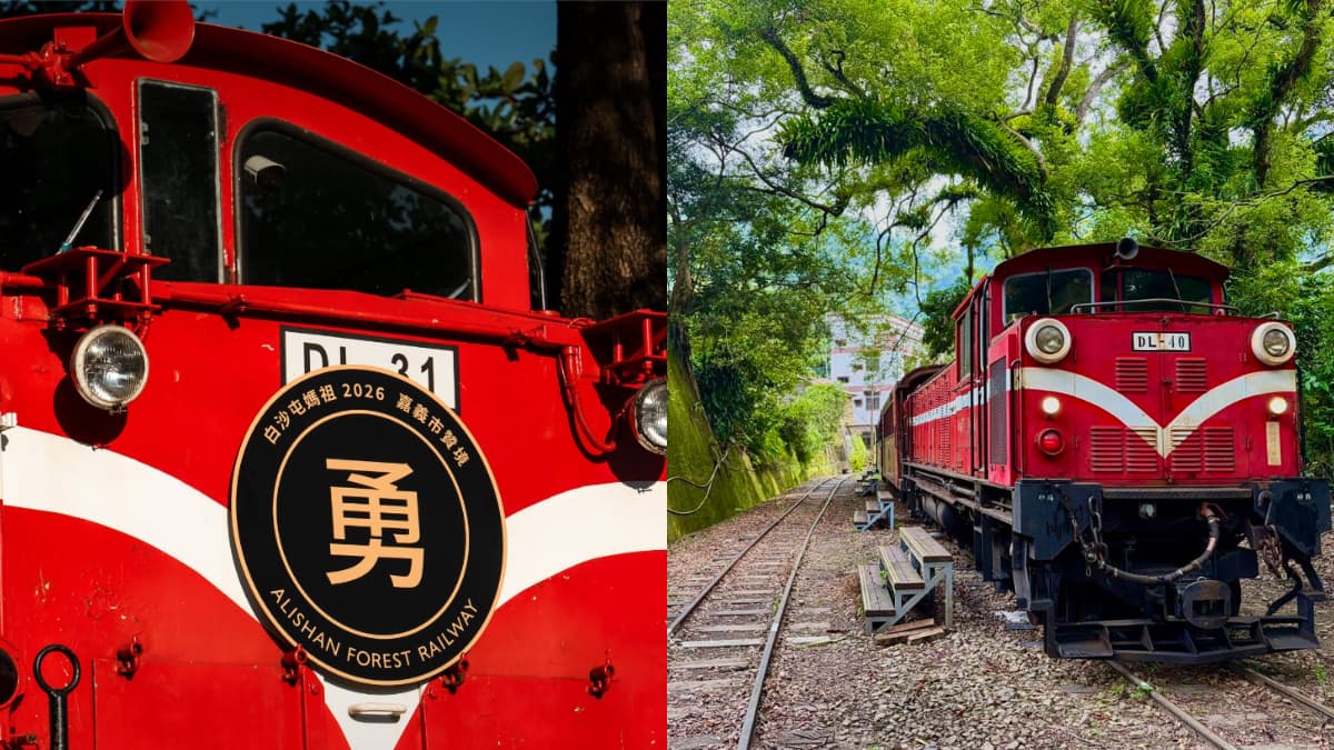 雙十連假衝阿里山！百合花海盛開、奮起湖喝冠軍咖啡，再搭白沙屯媽祖限定小火車